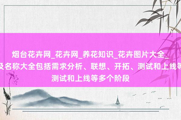 烟台花卉网_花卉网_养花知识_花卉图片大全_花卉图片及名称大全包括需求分析、联想、开拓、测试和上线等多个阶段