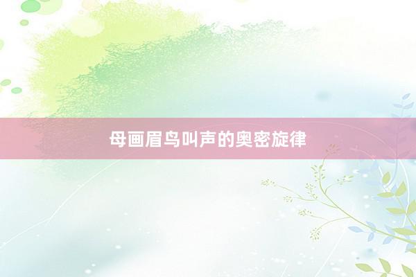 母画眉鸟叫声的奥密旋律